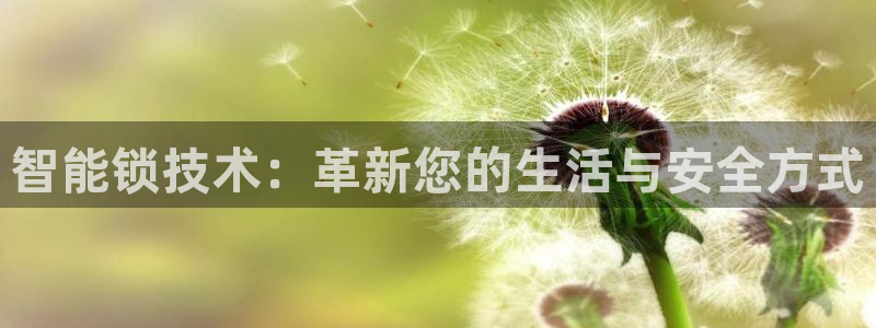 金年会体育官网：智能锁技术：革新您的生活与安全方式