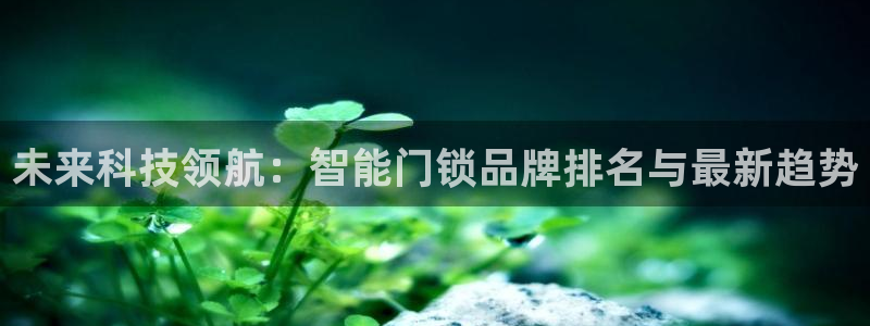 金年会活动：未来科技领航：智能门锁品牌排名与最新趋势
