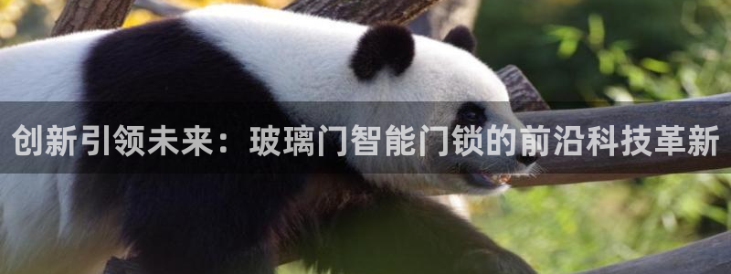 金年会官方网址登录路线：创新引领未来：玻璃门智能门锁的前沿科