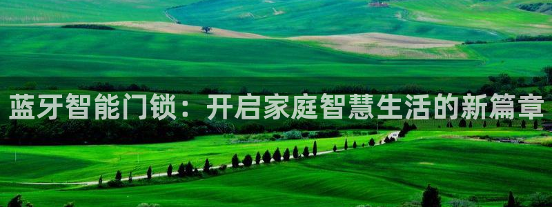 金年会代理：蓝牙智能门锁：开启家庭智慧生活的新篇章