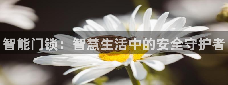 金年会app下载中国金年会：智能门锁：智慧生活中的安全守护者