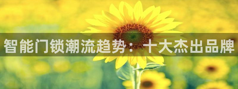 陆金所 年会：智能门锁潮流趋势：十大杰出品牌