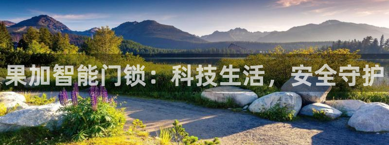澳门与金年会的关系：果加智能门锁：科技生活，安全守护