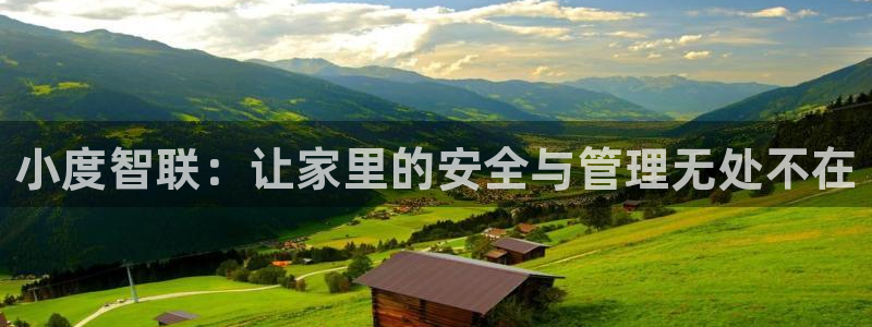 金顶年会：小度智联：让家里的安全与管理无处不在