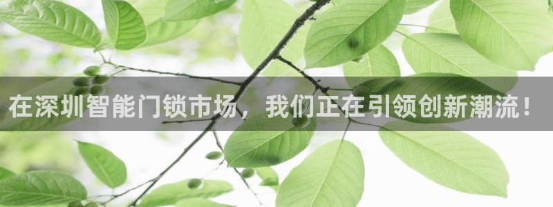 金年会平台出款：在深圳智能门锁市场，我们正在引领创新潮流！
