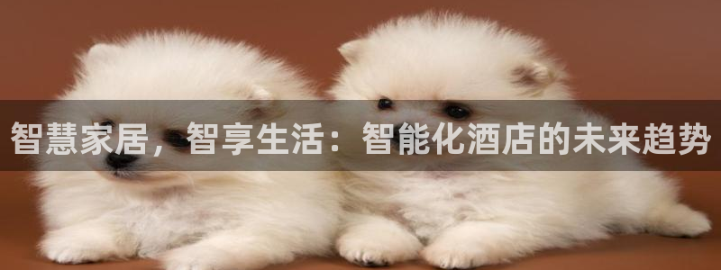 6766金年会