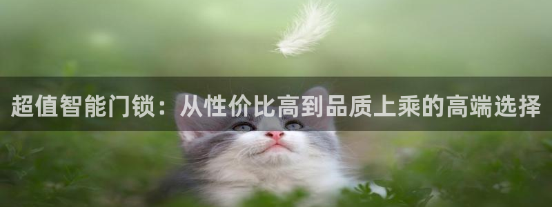 金年会澳门6766：超值智能门锁：从性价比高到品质上乘的高端