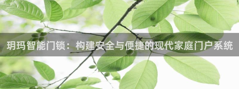 金年会官方客服电话：玥玛智能门锁：构建安全与便捷的现代家庭门