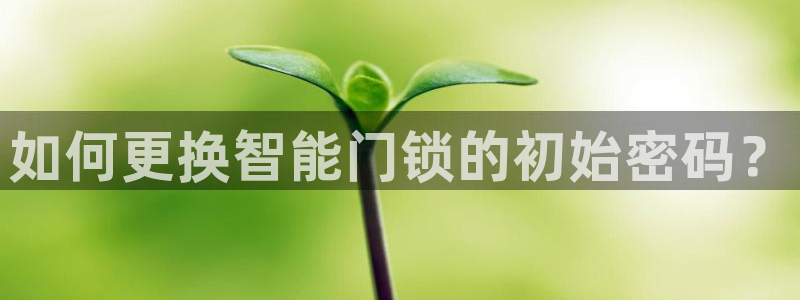 金年会金字招牌信誉至上：如何更换智能门锁的初始密码？