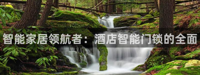 金年会平台游戏：智能家居领航者：酒店智能门锁的全面