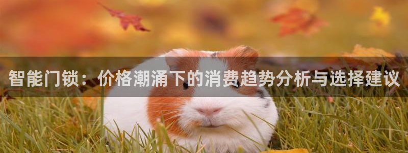 金年会在线下载：智能门锁：价格潮涌下的消费趋势分析与选择建议