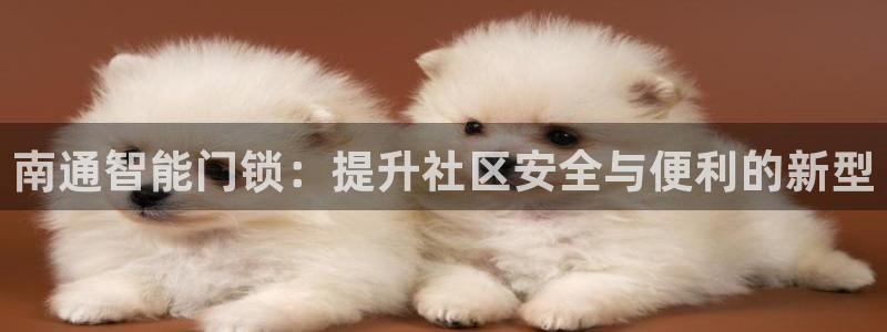 金年会体育娱乐：南通智能门锁：提升社区安全与便利的新型