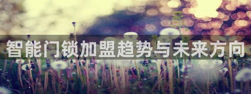 金年会现金网：智能门锁加盟趋势与未来方向