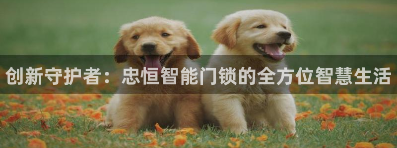 金年会 中国 金年会：创新守护者：忠恒智能门锁的全方位智慧生