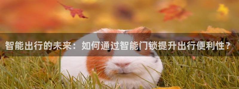 金哥年会：智能出行的未来：如何通过智能门锁提升出行便利性？