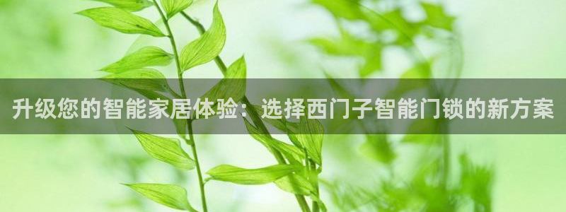 金年会6766：升级您的智能家居体验：选择西门子智能门锁的新