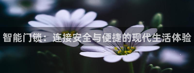 今年会金年会：智能门锁：连接安全与便捷的现代生活体验