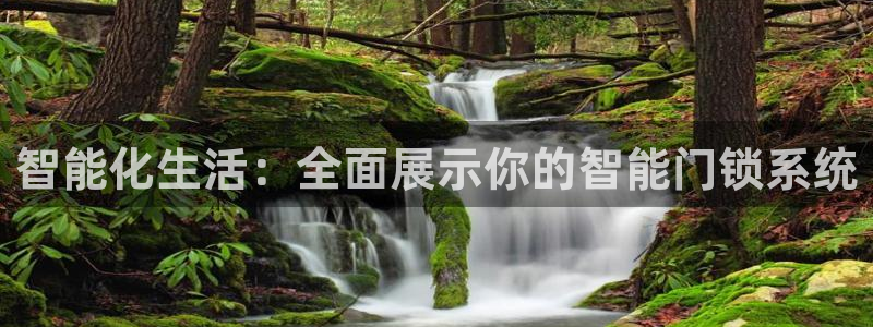 金年会最新登录：智能化生活：全面展示你的智能门锁系统