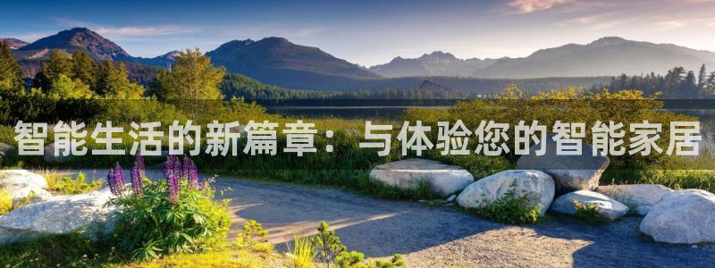 金年会app：智能生活的新篇章：与体验您的智能家居
