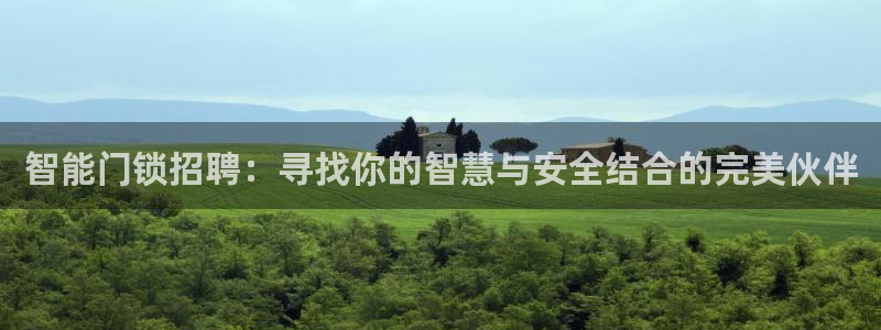 金年会官网app下载：智能门锁招聘：寻找你的智慧与安全结合的