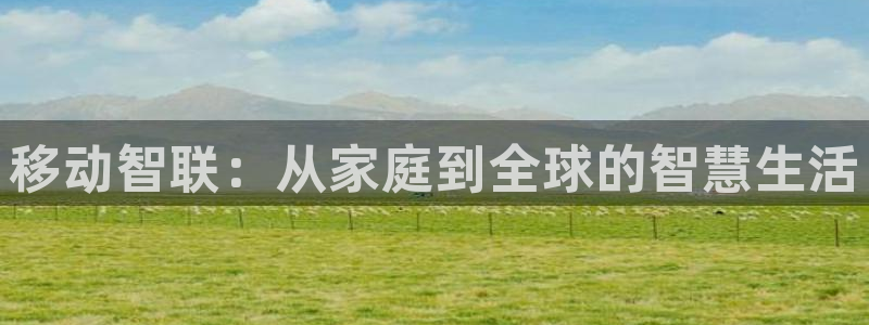 金辉城年会视频：移动智联：从家庭到全球的智慧生活