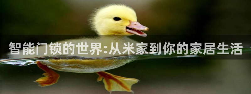 金年会拼音：智能门锁的世界:从米家到你的家居生活