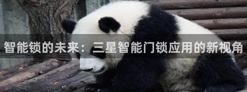 金年会游戏：智能锁的未来：三星智能门锁应用的新视角