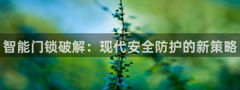 金雅陶瓷年会现场：智能门锁破解：现代安全防护的新策略