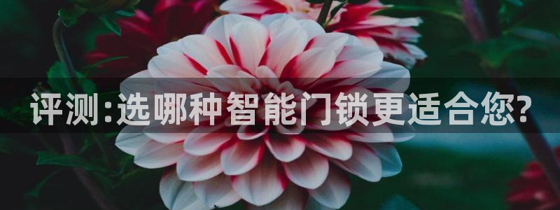 金年会信誉：评测:选哪种智能门锁更适合您?