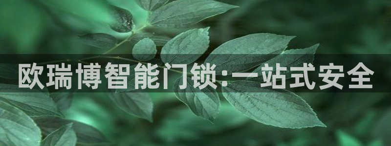 金年会体育和金年会：欧瑞博智能门锁:一站式安全