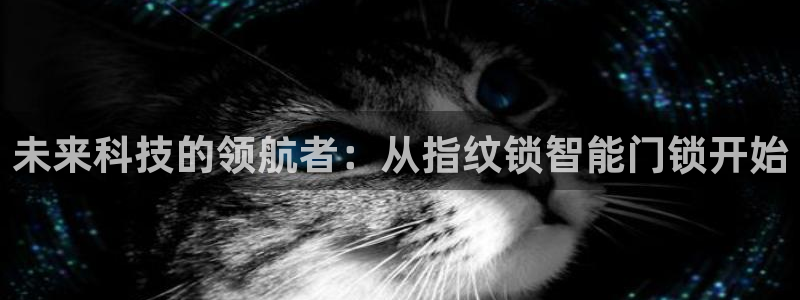 金年会app在线：未来科技的领航者：从指纹锁智能门锁开始