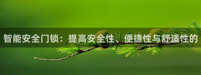 澳门与金年会的关系：智能安全门锁：提高安全性、便捷性与舒适性