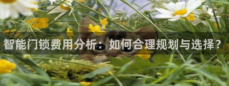 金年会彩票网址下载：智能门锁费用分析：如何合理规划与选择？