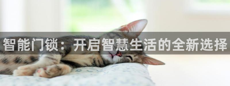 金年会拼音：智能门锁：开启智慧生活的全新选择