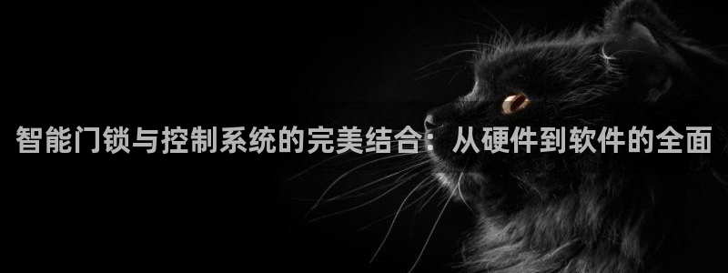 金年会游戏：智能门锁与控制系统的完美结合：从硬件到软件的全面