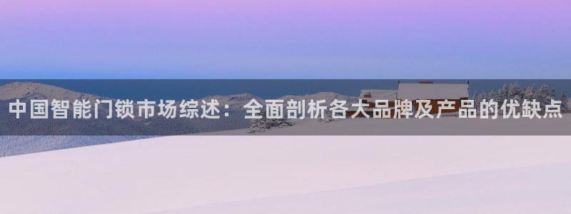 金年会会：中国智能门锁市场综述：全面剖析各大品牌及产品的优缺