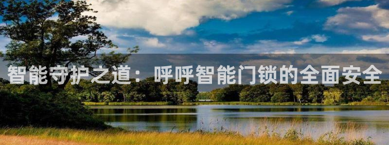 金年会推荐：智能守护之道：呼呼智能门锁的全面安全