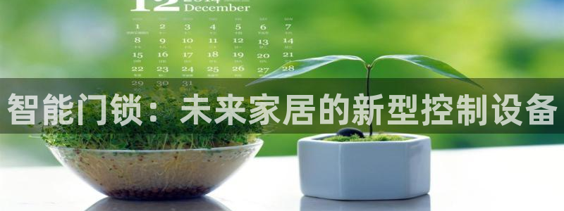 金年会金字招牌在线入口：智能门锁：未来家居的新型控制设备