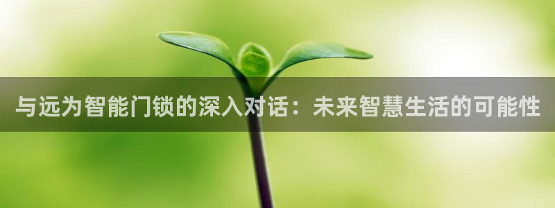年会金：与远为智能门锁的深入对话：未来智慧生活的可能性
