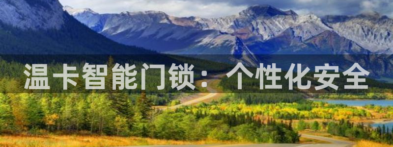 金年会VIP：温卡智能门锁：个性化安全