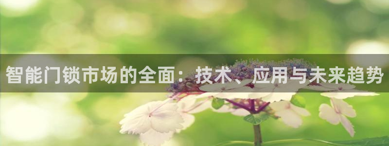 金年会体育官方网站：智能门锁市场的全面：技术、应用与未来趋势