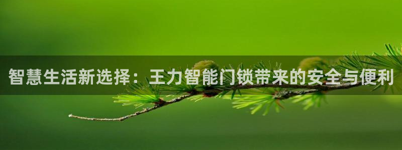 金年会平台是什么：智慧生活新选择：王力智能门锁带来的安全与便