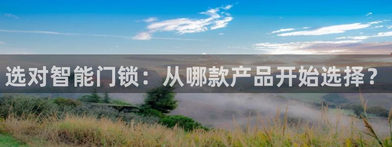 今年会送彩金28：选对智能门锁：从哪款产品开始选择？