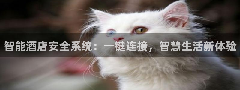 金年会会：智能酒店安全系统：一键连接，智慧生活新体验