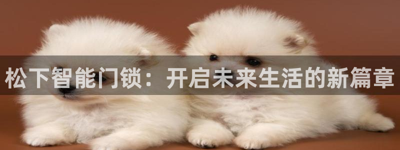 金年会平台是不是大台子：松下智能门锁：开启未来生活的新篇章