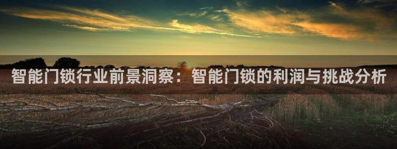 金年会官网：智能门锁行业前景洞察：智能门锁的利润与挑战分析