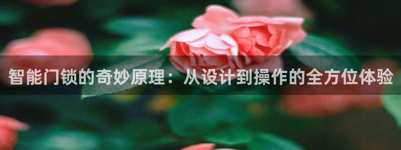 金年会网页登录：智能门锁的奇妙原理：从设计到操作的全方位体验
