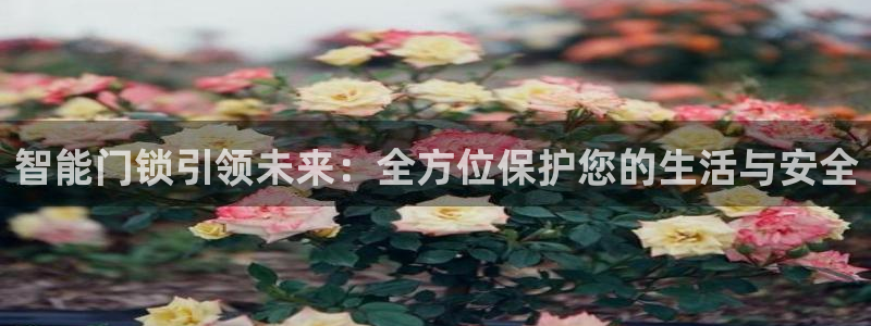 金年会彩票网址下载：智能门锁引领未来：全方位保护您的生活与安