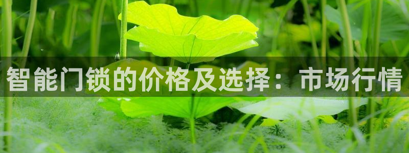 金年会体育在线登录：智能门锁的价格及选择：市场行情