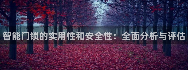 金实年会：智能门锁的实用性和安全性：全面分析与评估